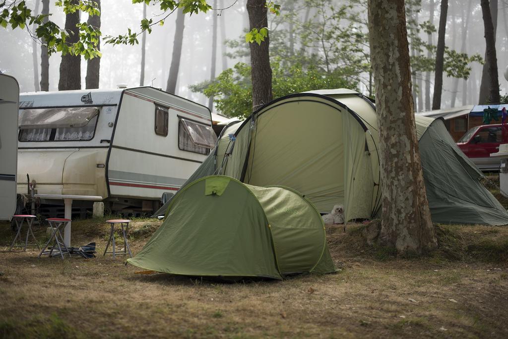 Camping Cachadelos Otel Sanxenxo Dış mekan fotoğraf